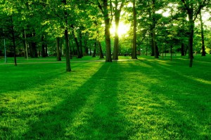 世界举重公开赛赛后科研成果转化签约新一批企业，世界举重比赛现场视频