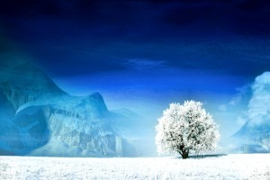 世界拳击技术挑战赛：综合技能考验选手全面性，世界拳击表演赛